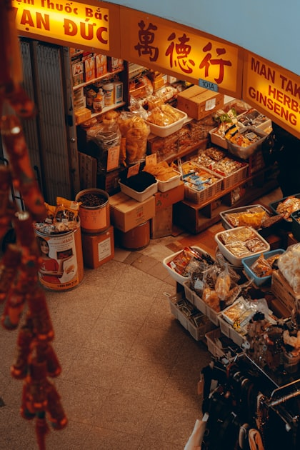 Understanding Traditional Chinese Medicine